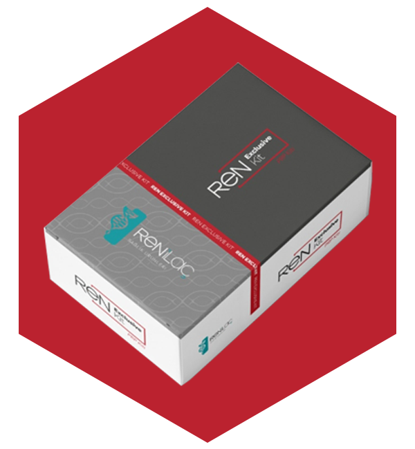 Kırmızı Kutu-YENİ